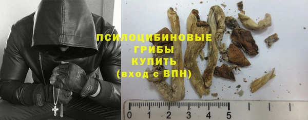 гашик Нефтегорск