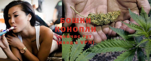 Альфа ПВП Нея